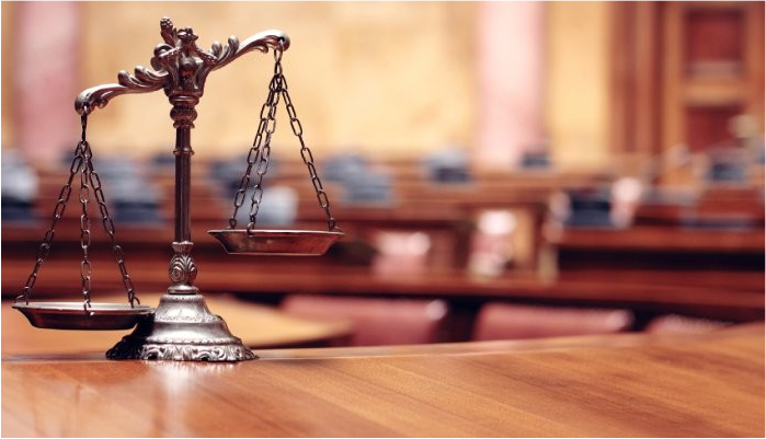 Litigation & Advocacy